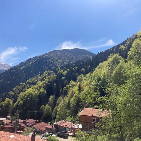 Sefa Apart Uzungöl Dış mekan fotoğraf